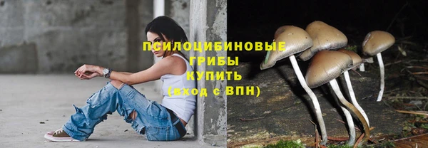 ГАЛЛЮЦИНОГЕННЫЕ ГРИБЫ Алексин