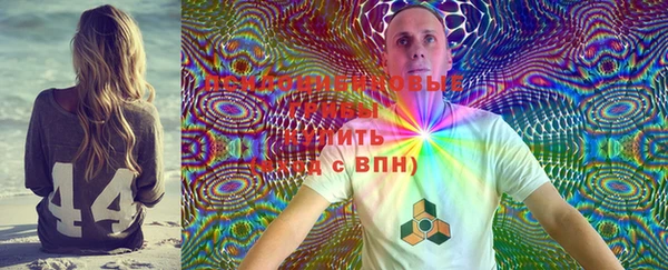 ГАЛЛЮЦИНОГЕННЫЕ ГРИБЫ Алексин